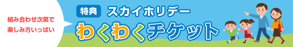 特典 スカイホリデーわくわくチケット