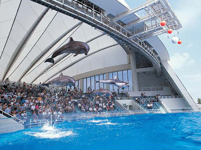 マリンワールド海の中道