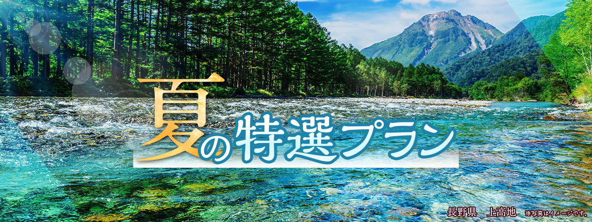 夏の特選プラン