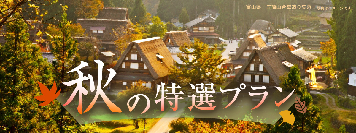秋の特選プラン