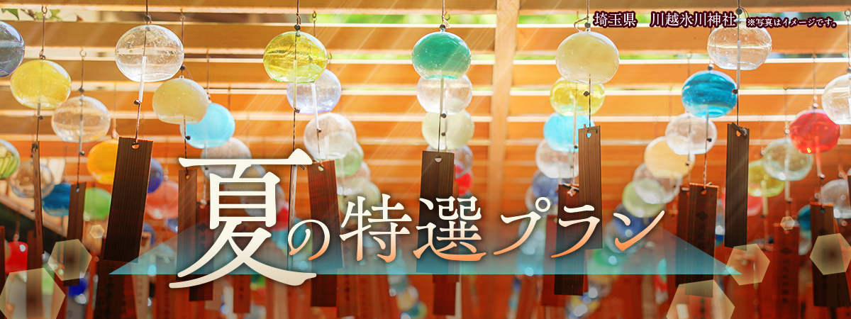 夏の特選プラン