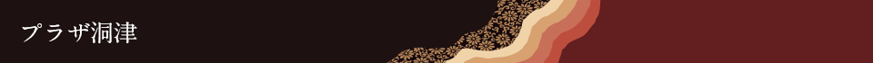 プラザ洞津
