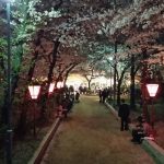2015.高津宮夜桜